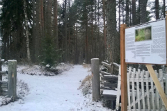 WP_20141203_001
