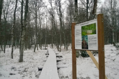 WP_20141203_002