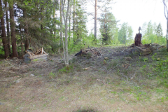hein2011035_0