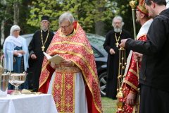 Kuva: Pekka Sinkkonen