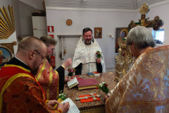 IMG_20240519_175044