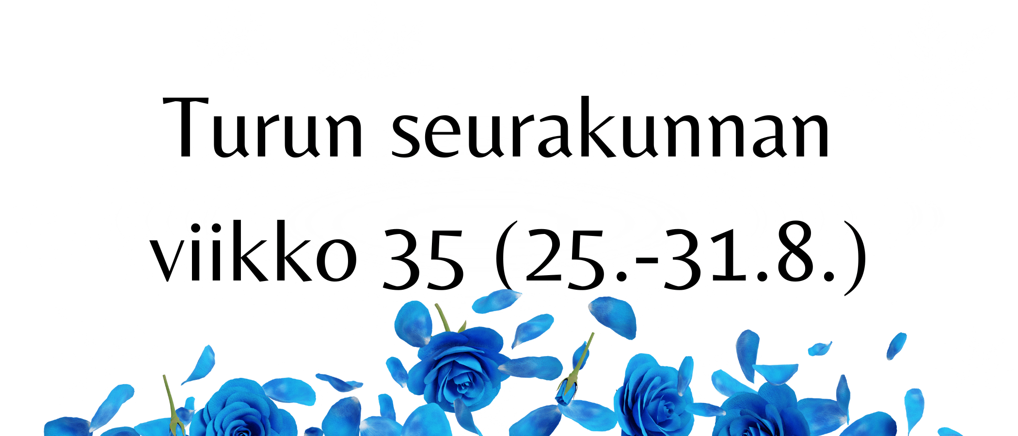 Your paragraph text (4)