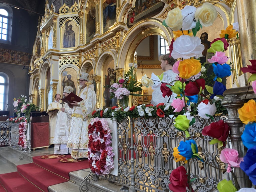 Dd9d216f 68b5 428c a1f9 1cdcb6d78c84